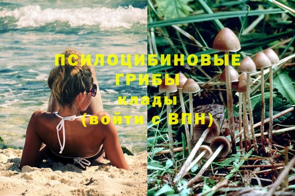 spice Лагань