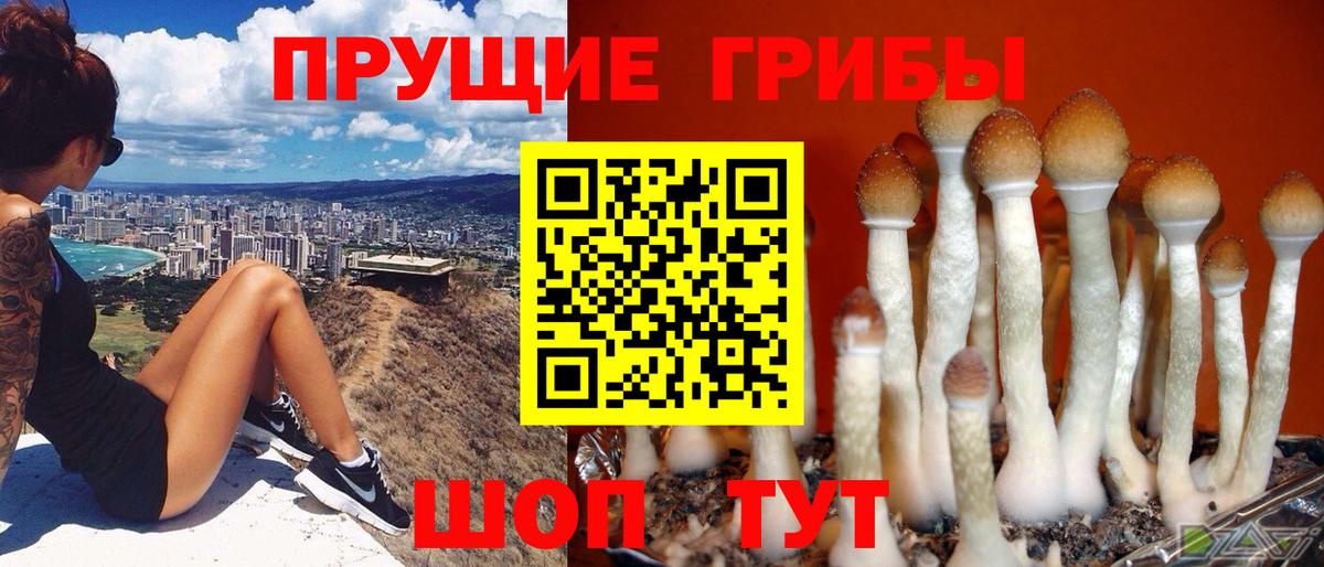 Псилоцибиновые грибы Magic Shrooms  Вход с VPN  Холмск  Галлюциногенные грибы Cubensis 
