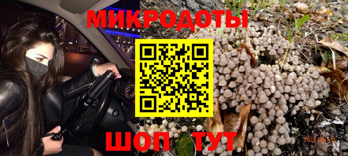Галлюциногенные грибы Psilocybine cubensis Холмск